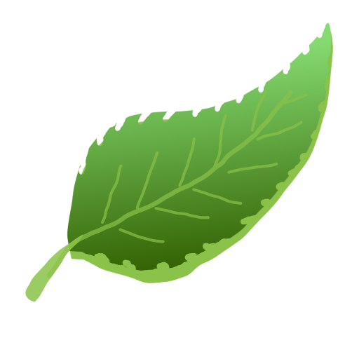 PureVision App Mockup